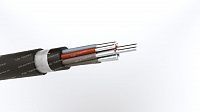 Кабель АКПсВГЭ 10х6